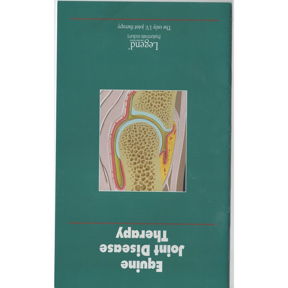 1996 Equine Joint Disease Therapy Legend Hyaluronate Sodium Bayer Pamphlet